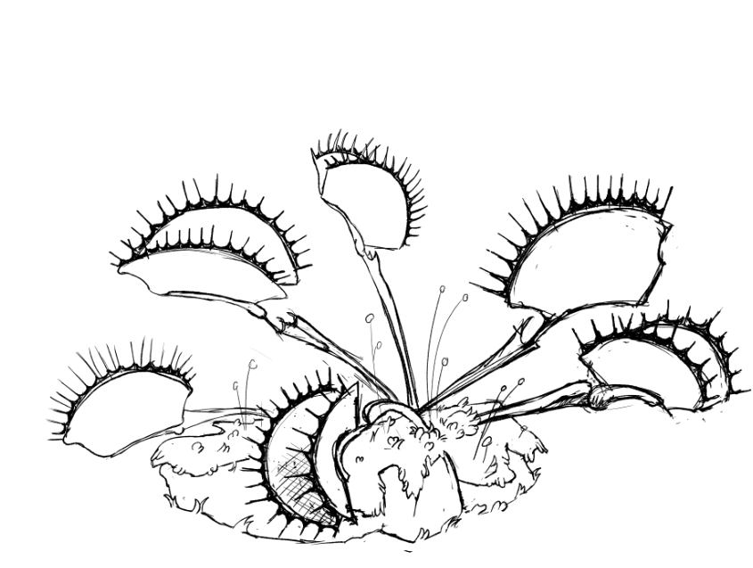 Screen Shot 2021-04-10 at 11.47.53 PM.png