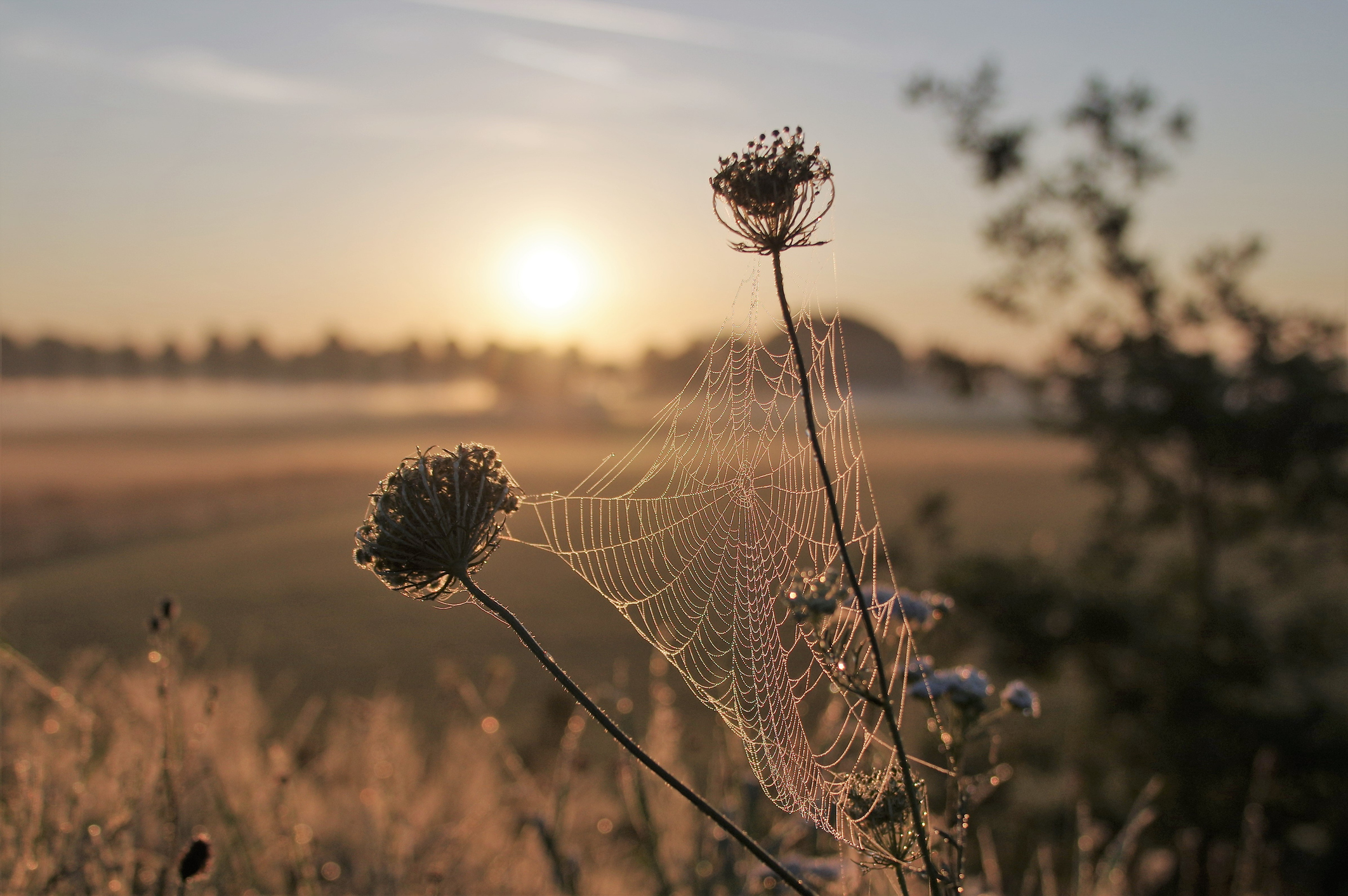 Photo by middelveld/iStock / Getty Images