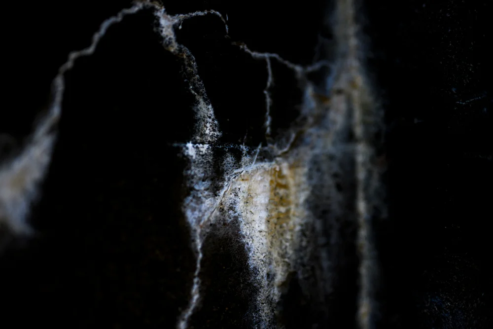 Whereby divinity voids 2.jpg