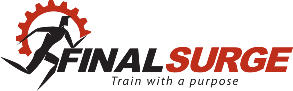 MainRevisionLogo-1024x318.png