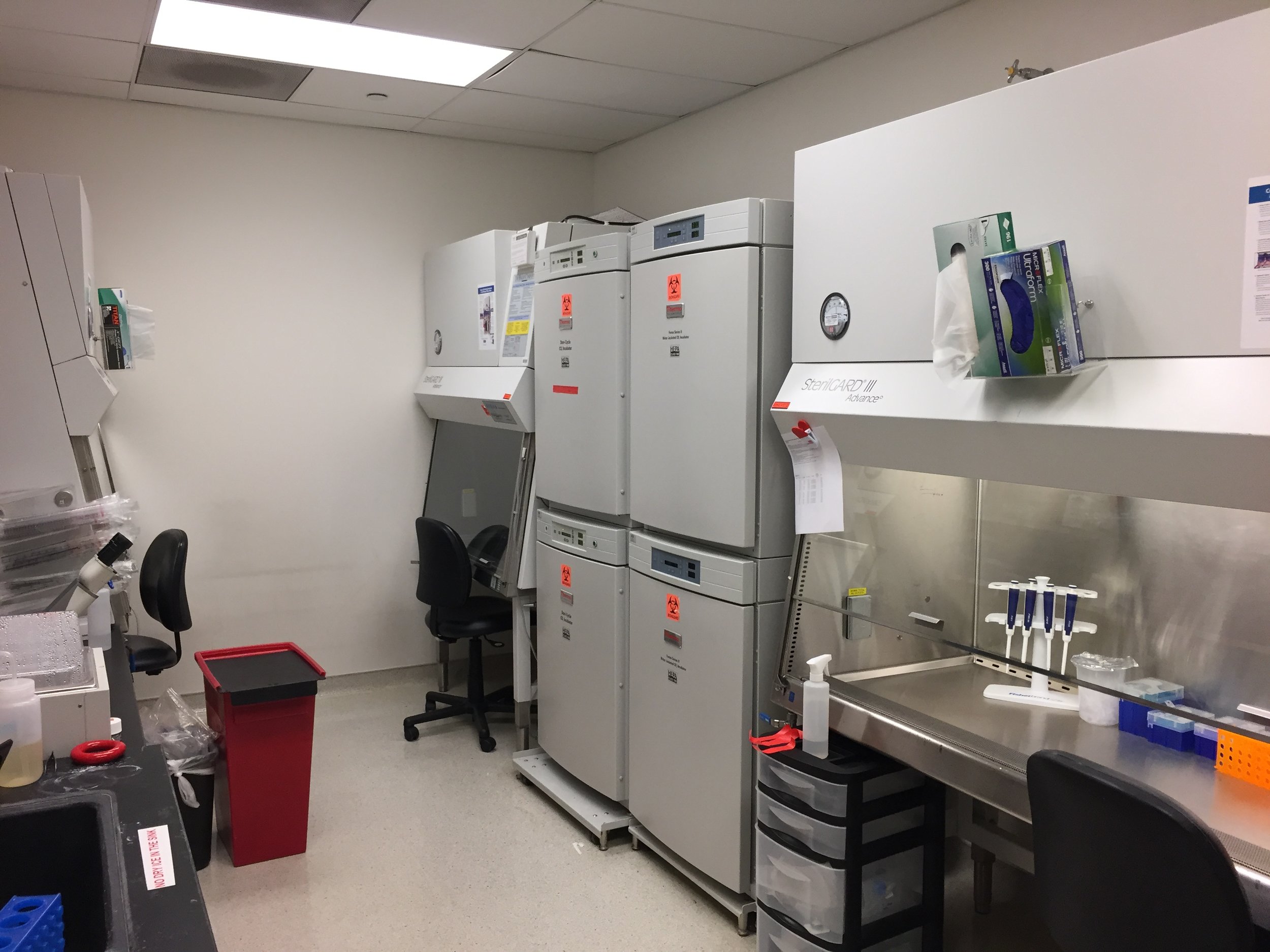 Tissue culture room