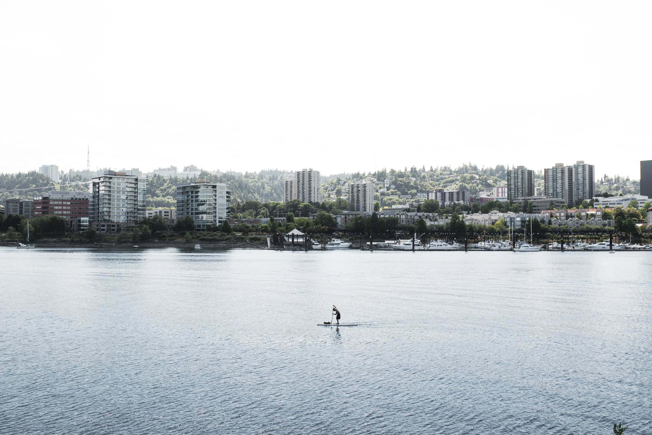 The Oregon Trail (Part Deux)