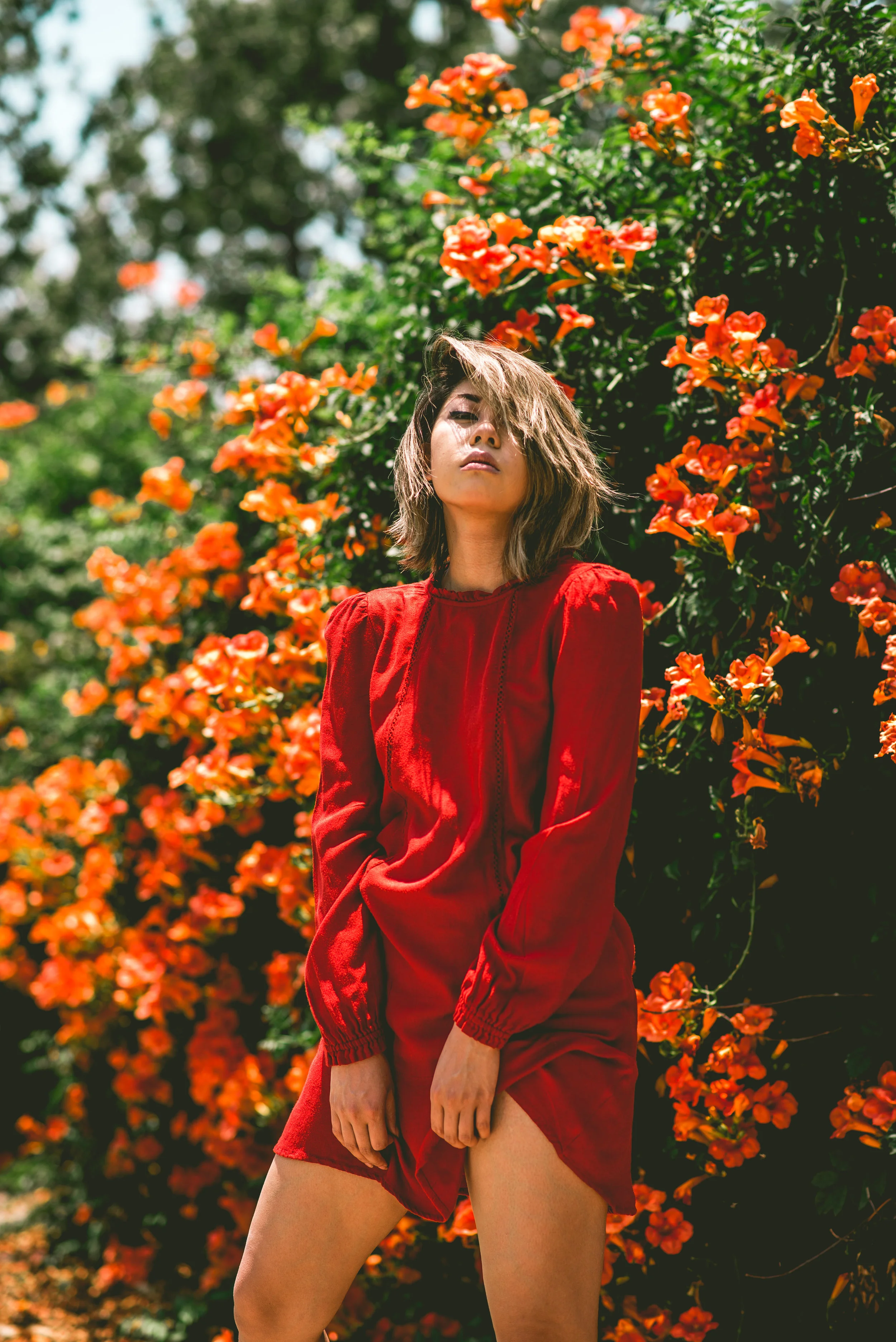 Utilizing The Algorithm