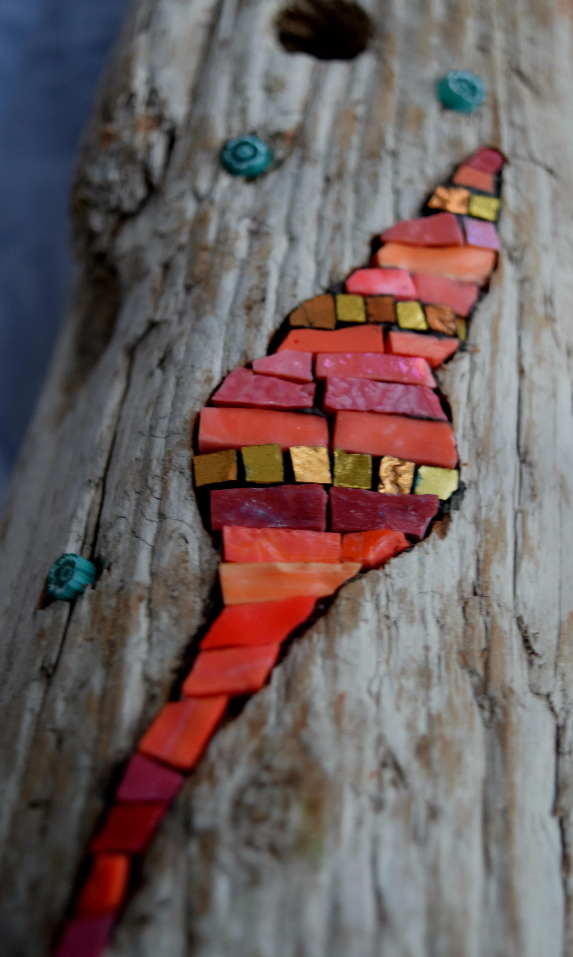 Shell in driftwood (Smalti, Gold Smalti, Milelfiori)