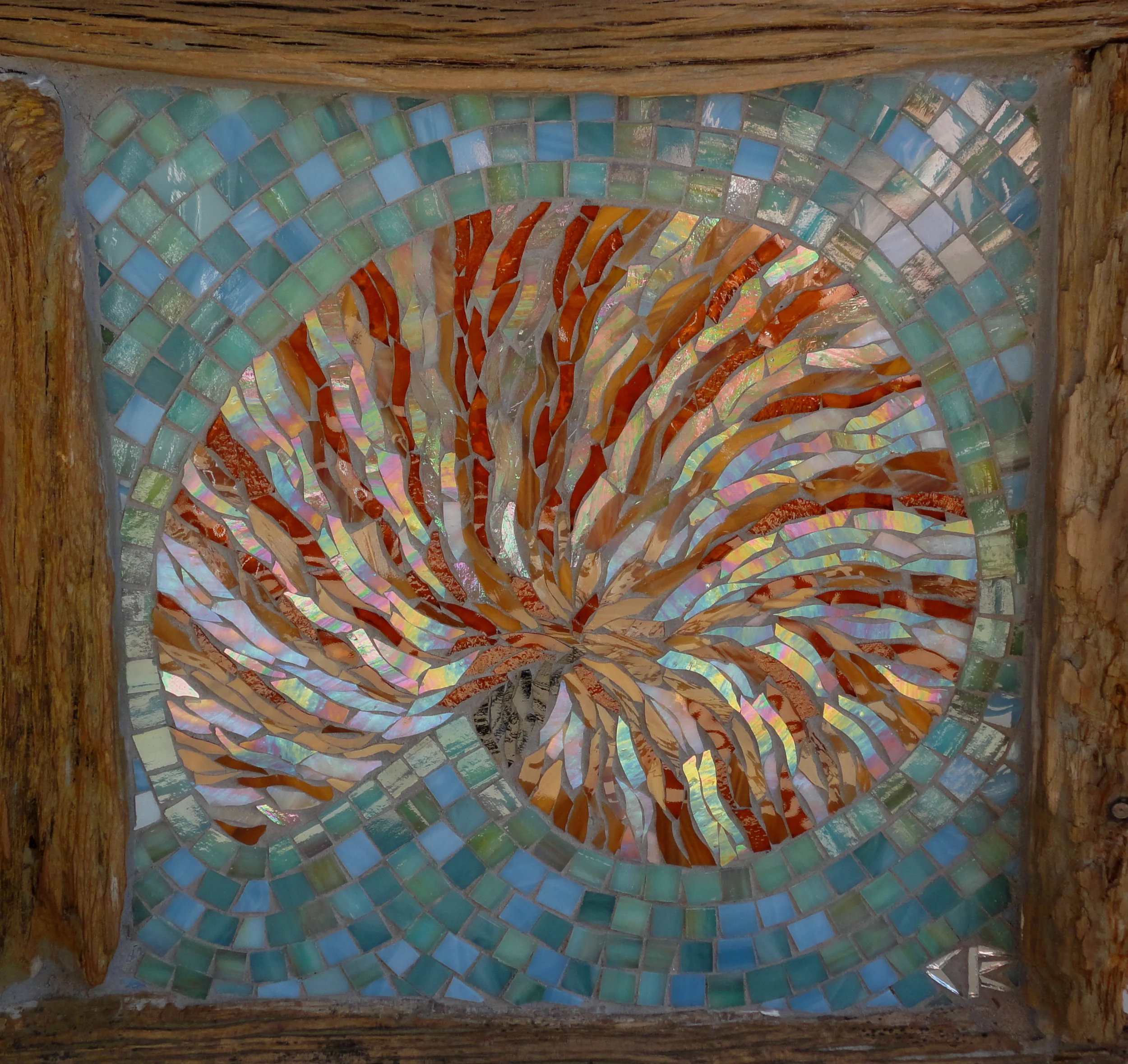 Nautilus (Stained Glass)