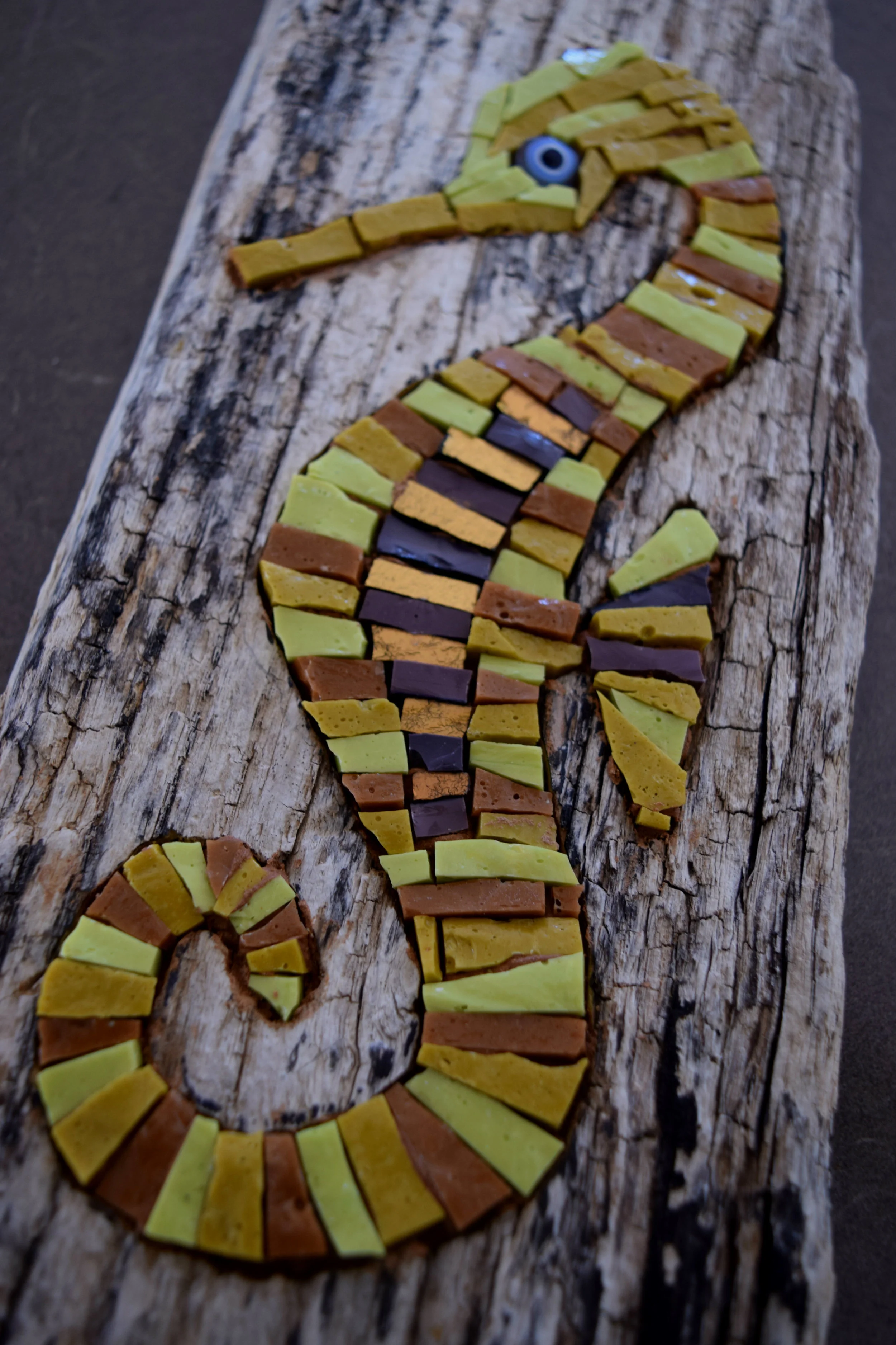 Seahorse Detail