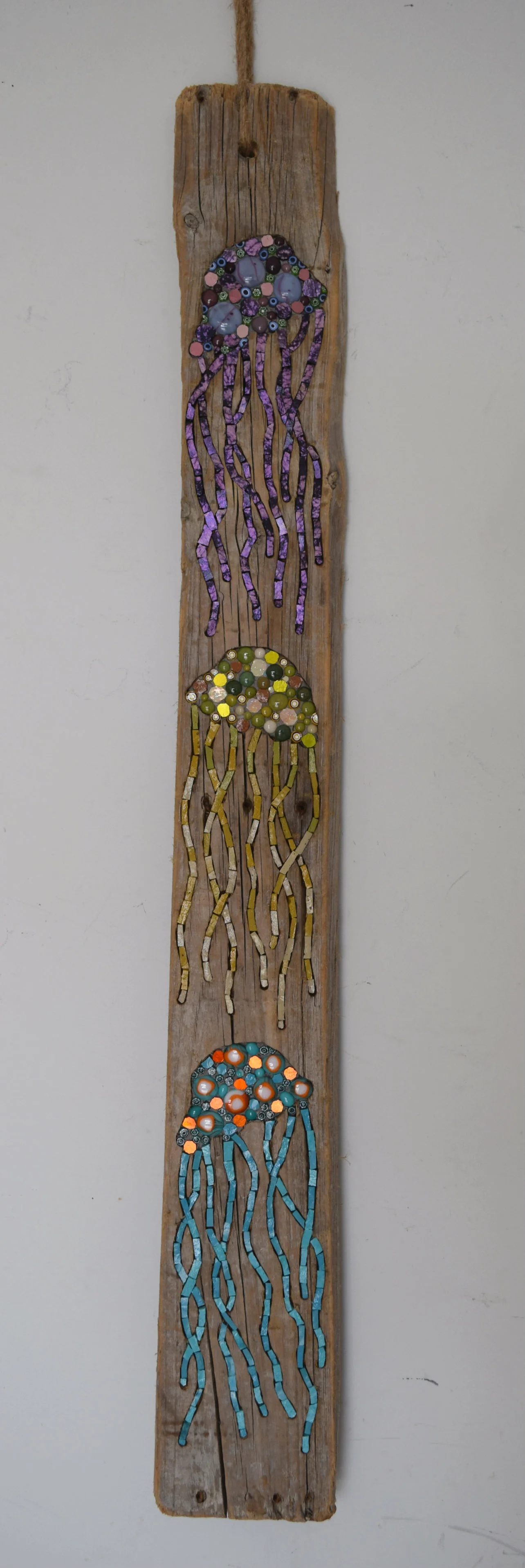 Three Jellyfish in Driftwood