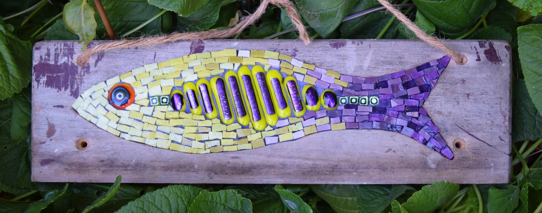 Ladder Rung Fish