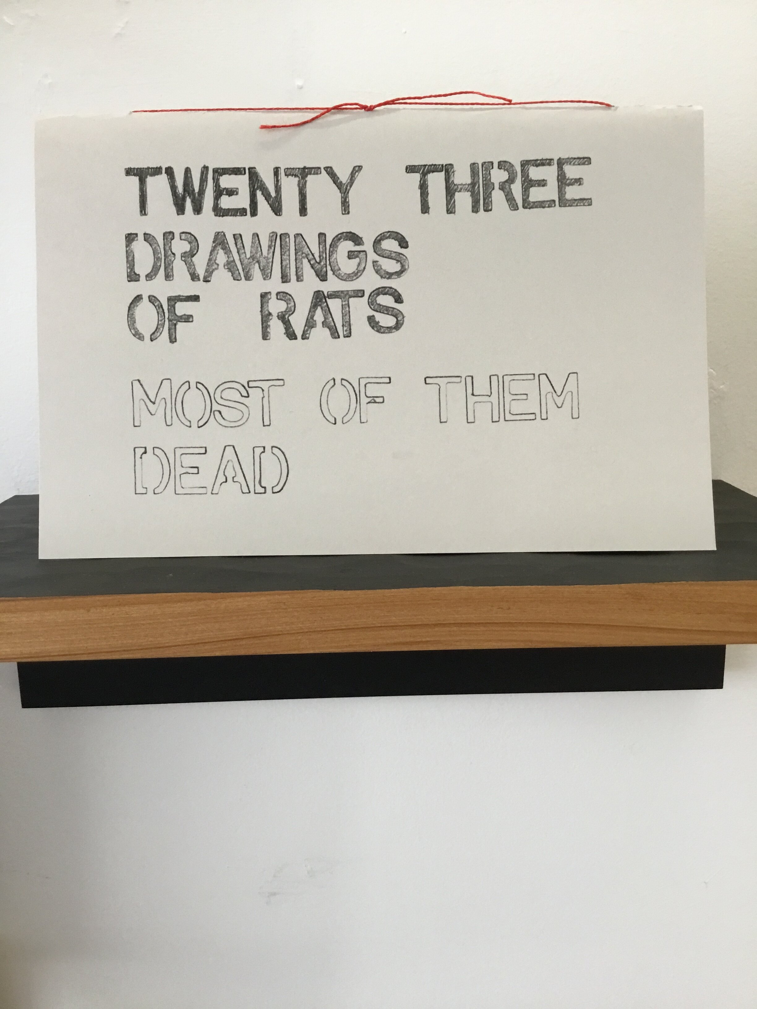 Twenty Three Drawings of Rats Most of Them Dead