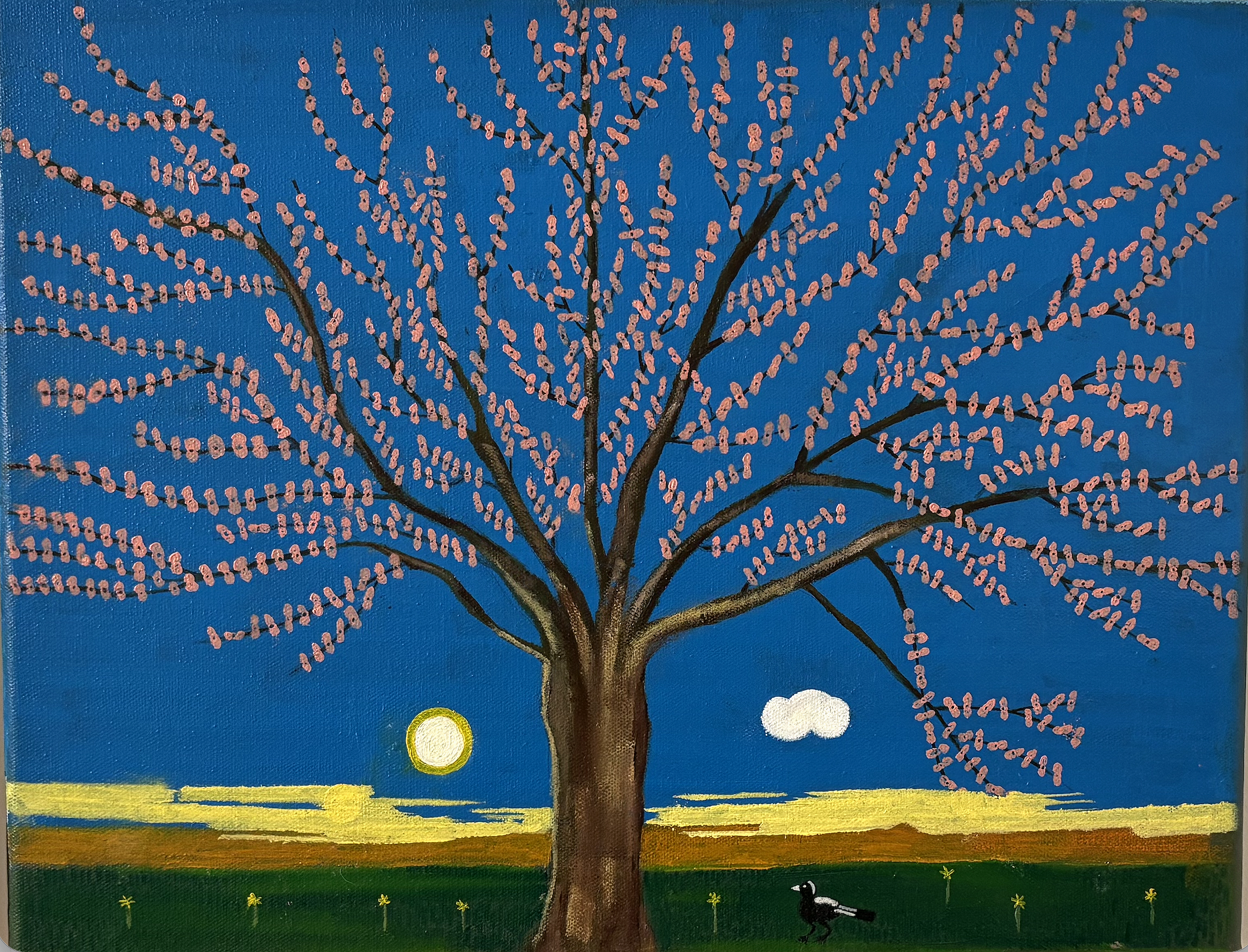 Springtime in Hawkes Bay