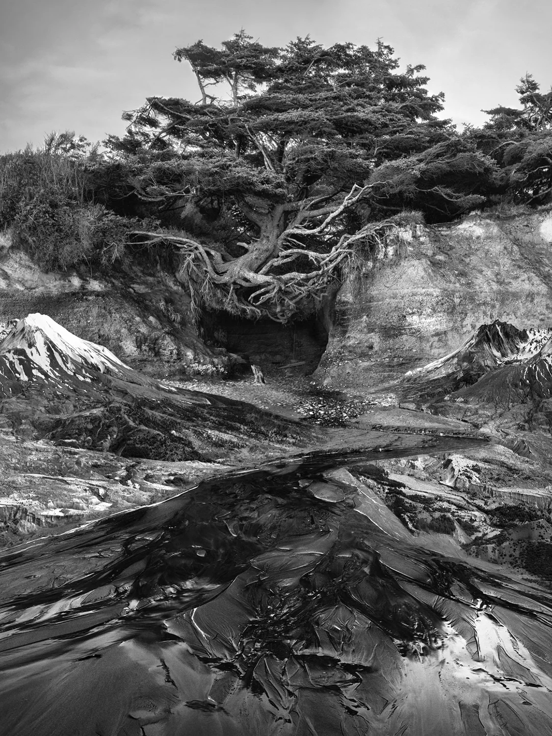 Axis Mundi (Yggdrasil), 2017