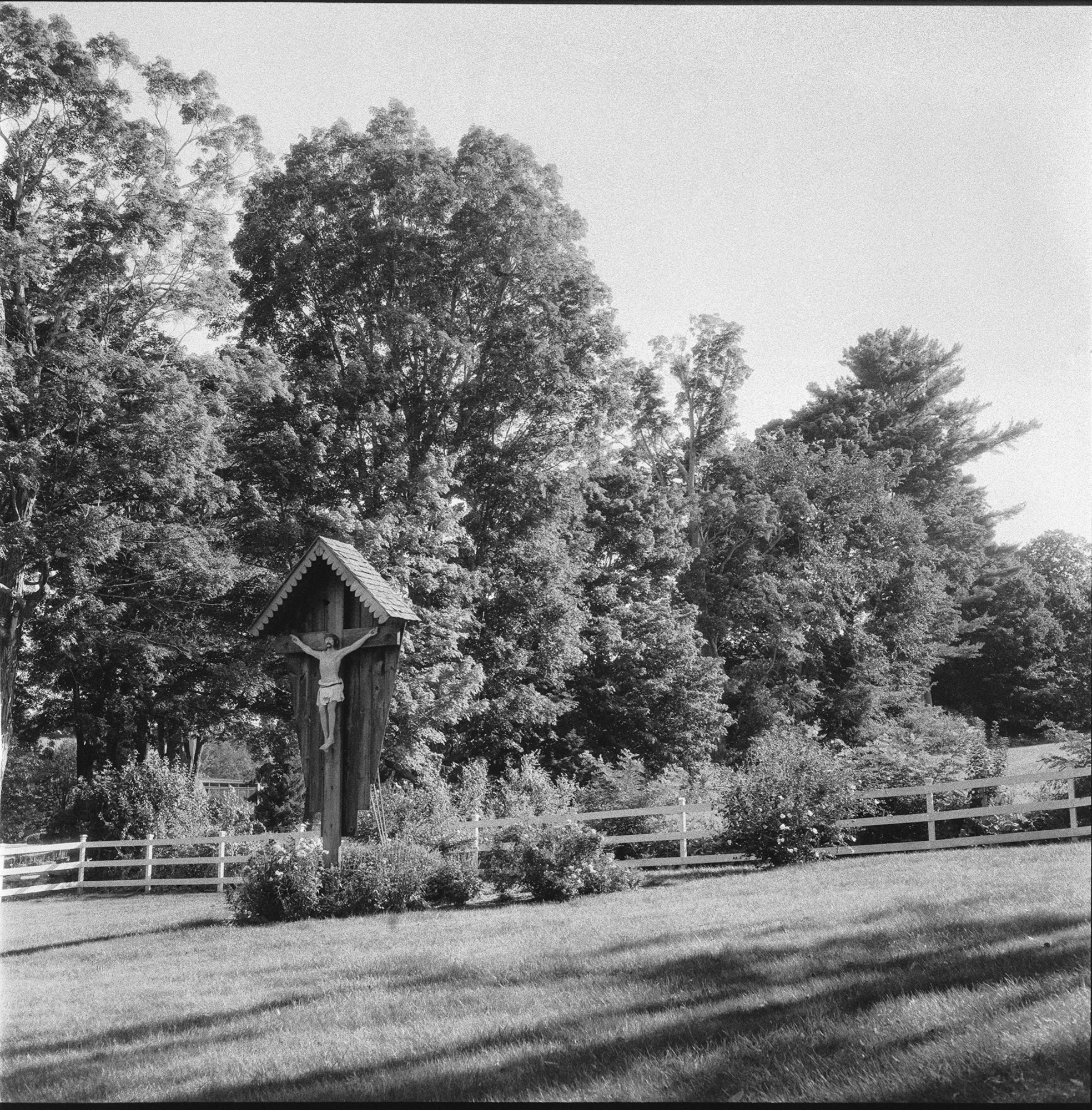 Cross&Roses.jpg