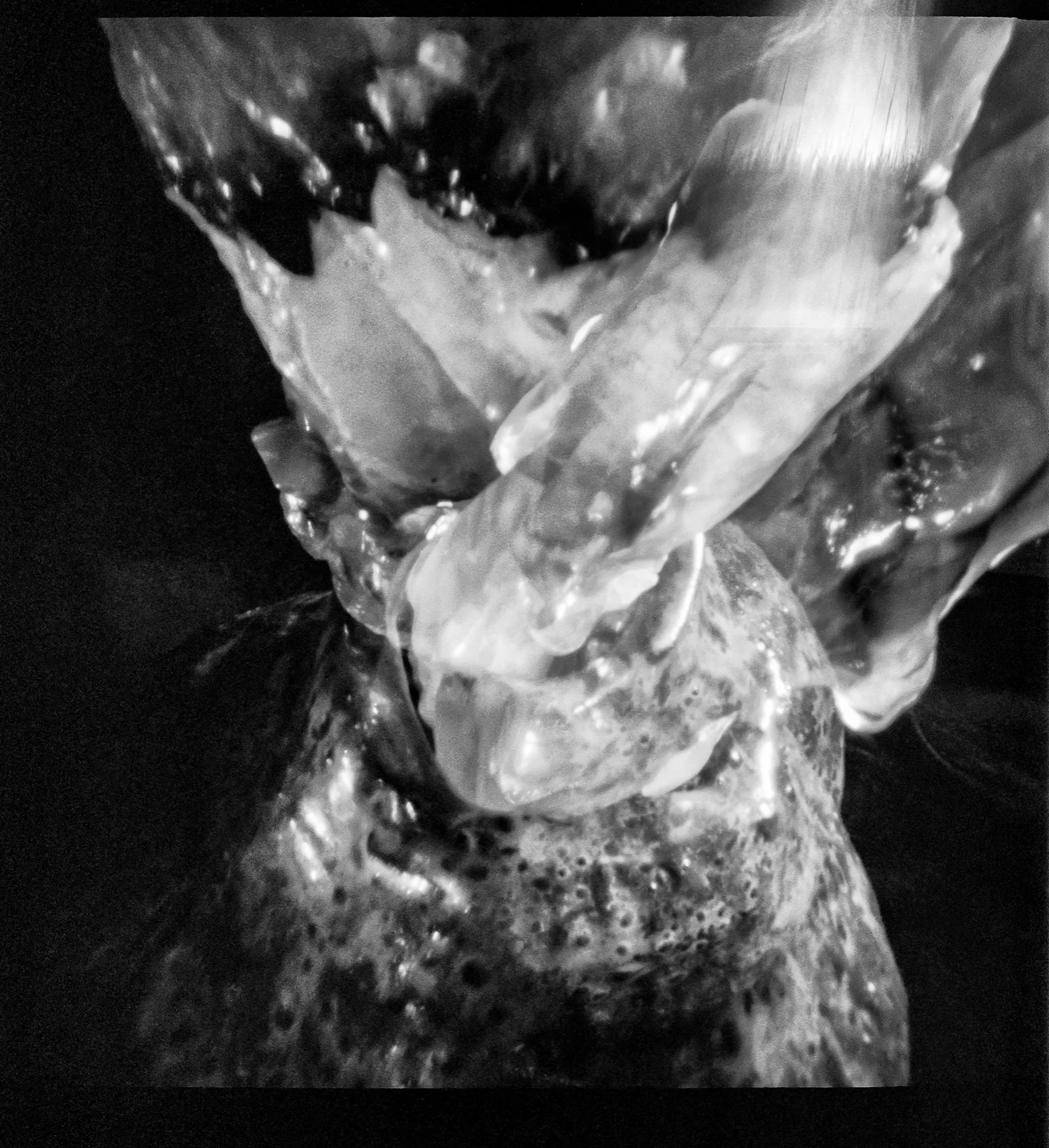 Pinhole8.jpg