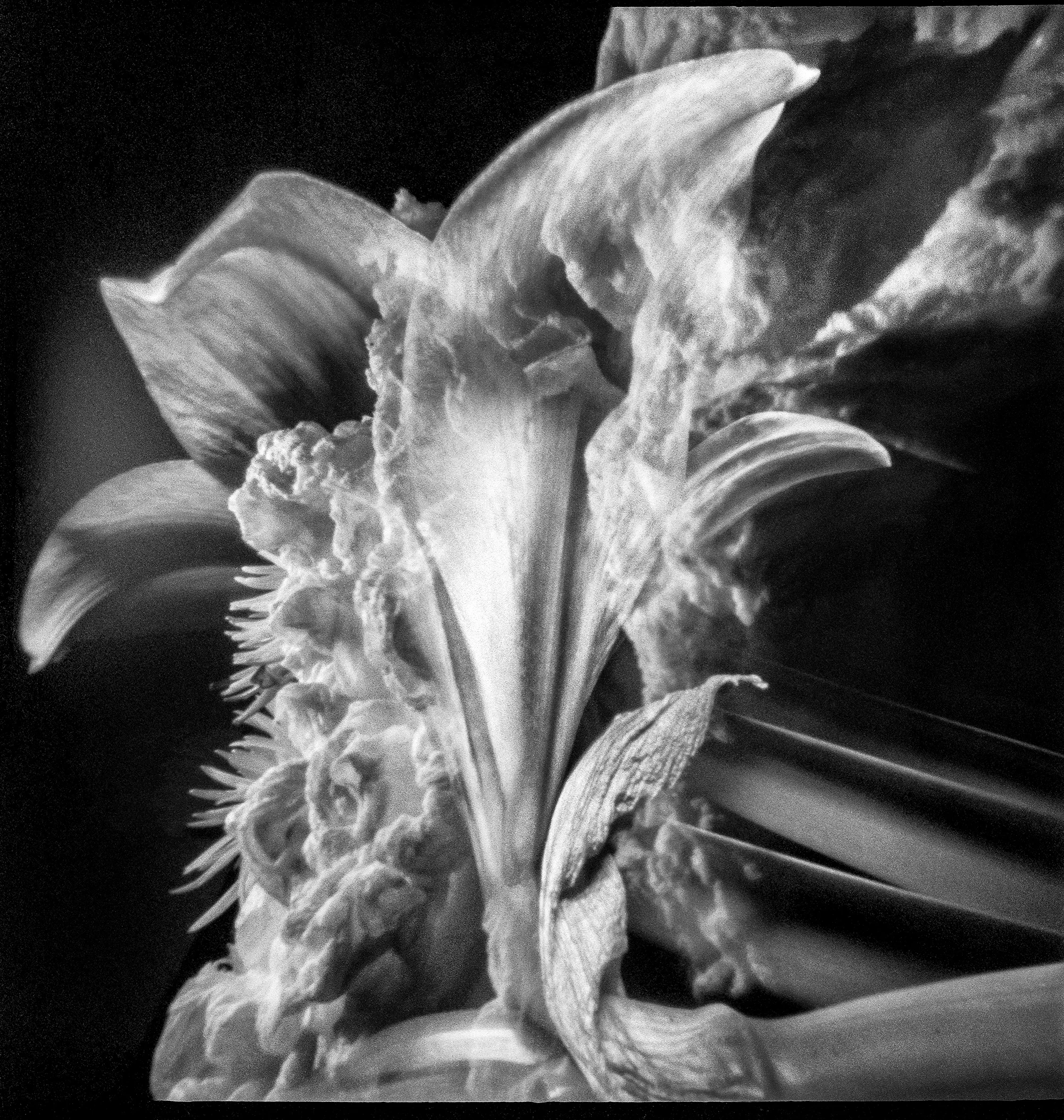 Pinhole24.jpg