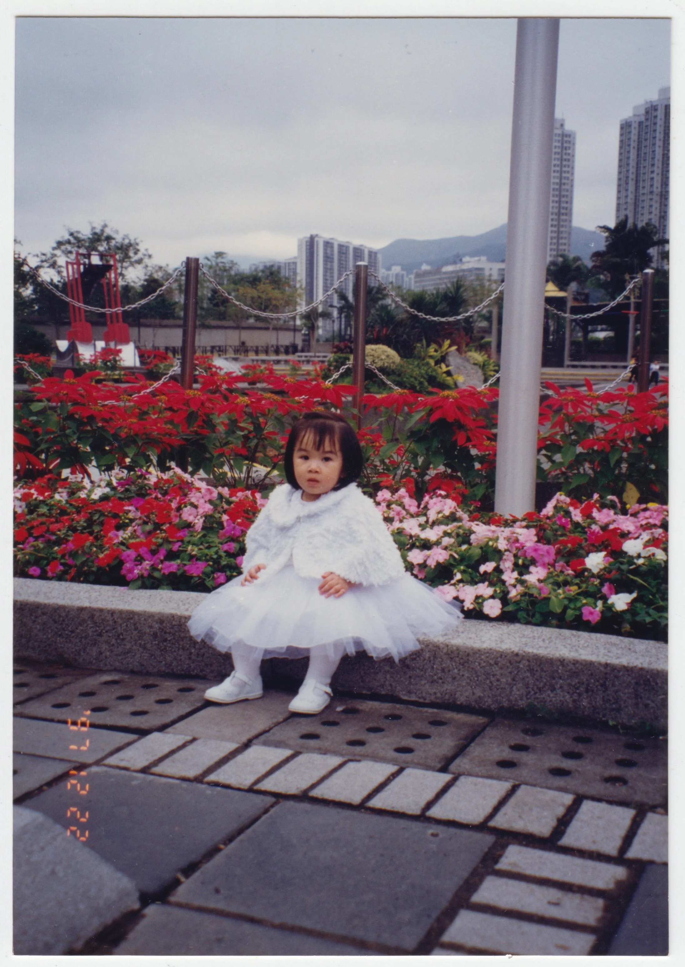 no. 00456 / Taken during EE's marriage registration at Shatin Marriage Registry