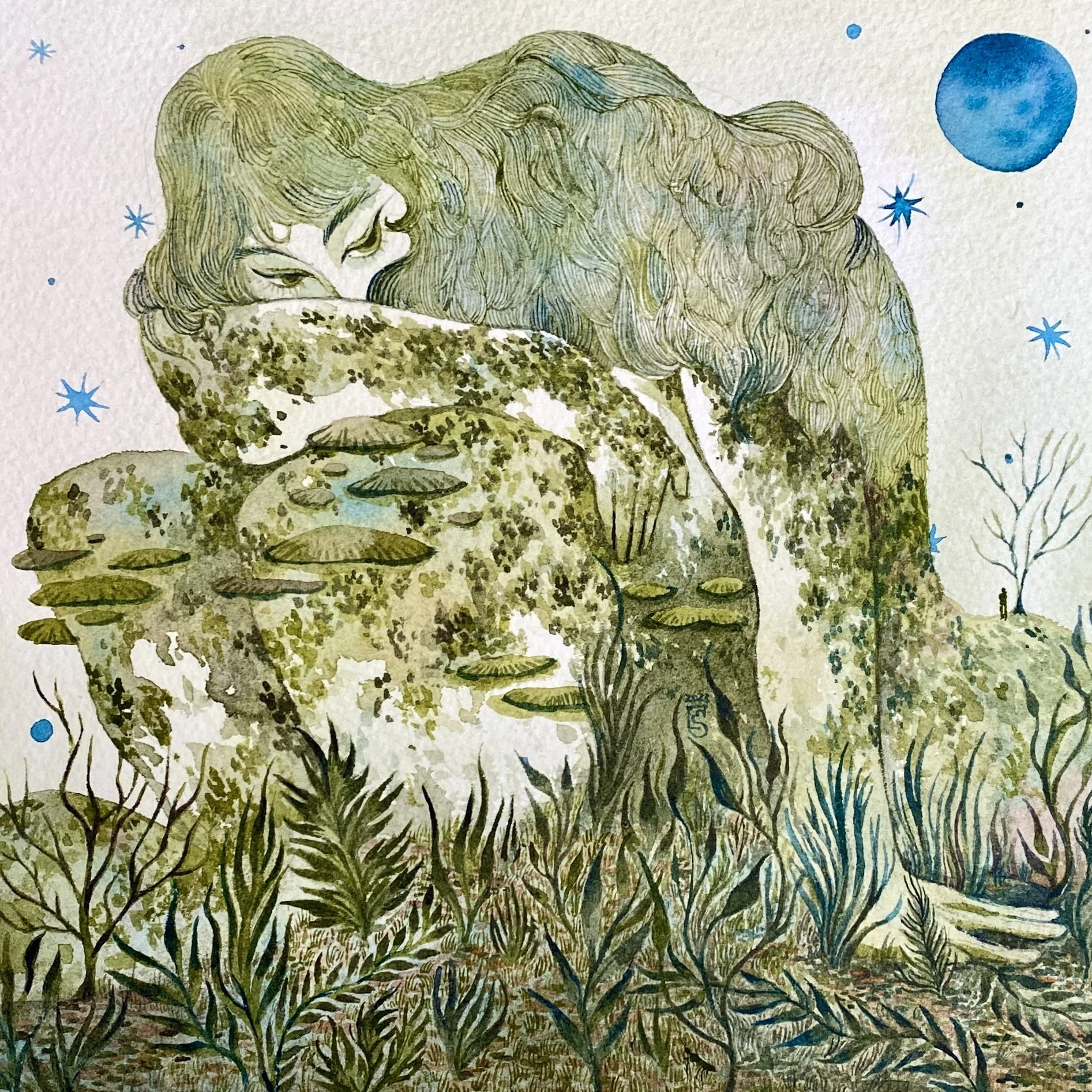 Growing Moss. 2023. Watercolour on paper, 20 cm x 20 cm.