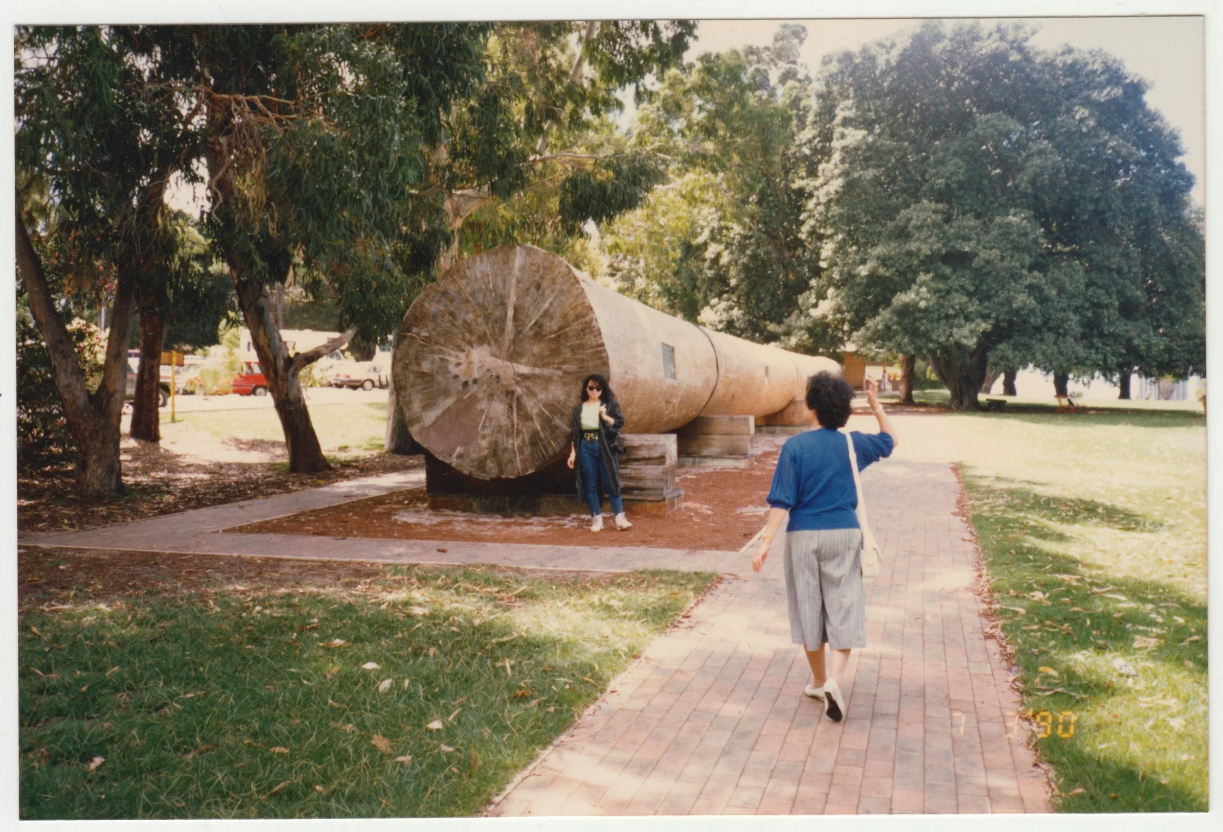 Mum posing next to a giant felled tree, taken on 7 March 1990. Grandma is walking towards her.