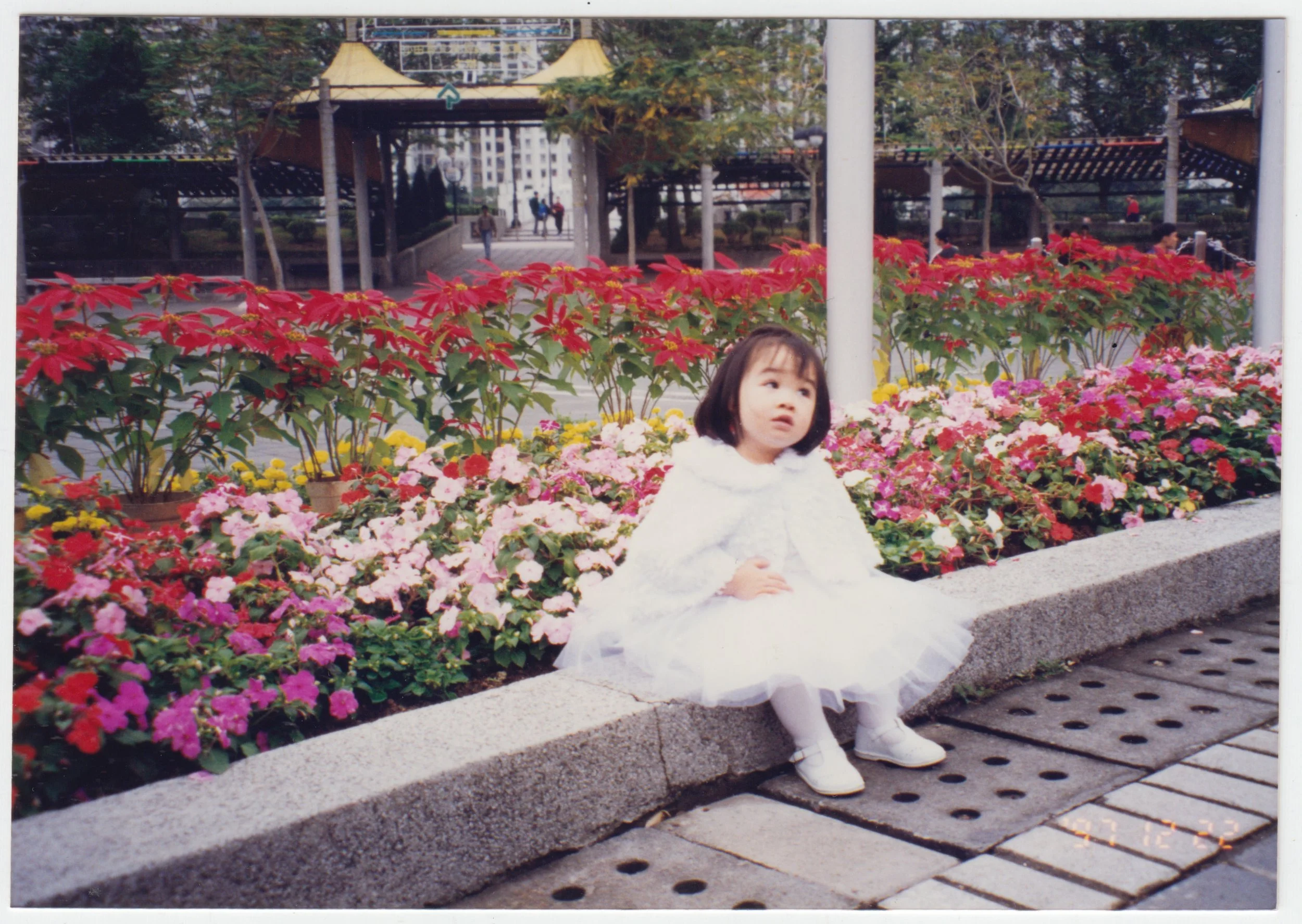 no. 00455 / At a park, taken during EE's marriage registration at Shatin Marriage Registry on 22 December 1997.