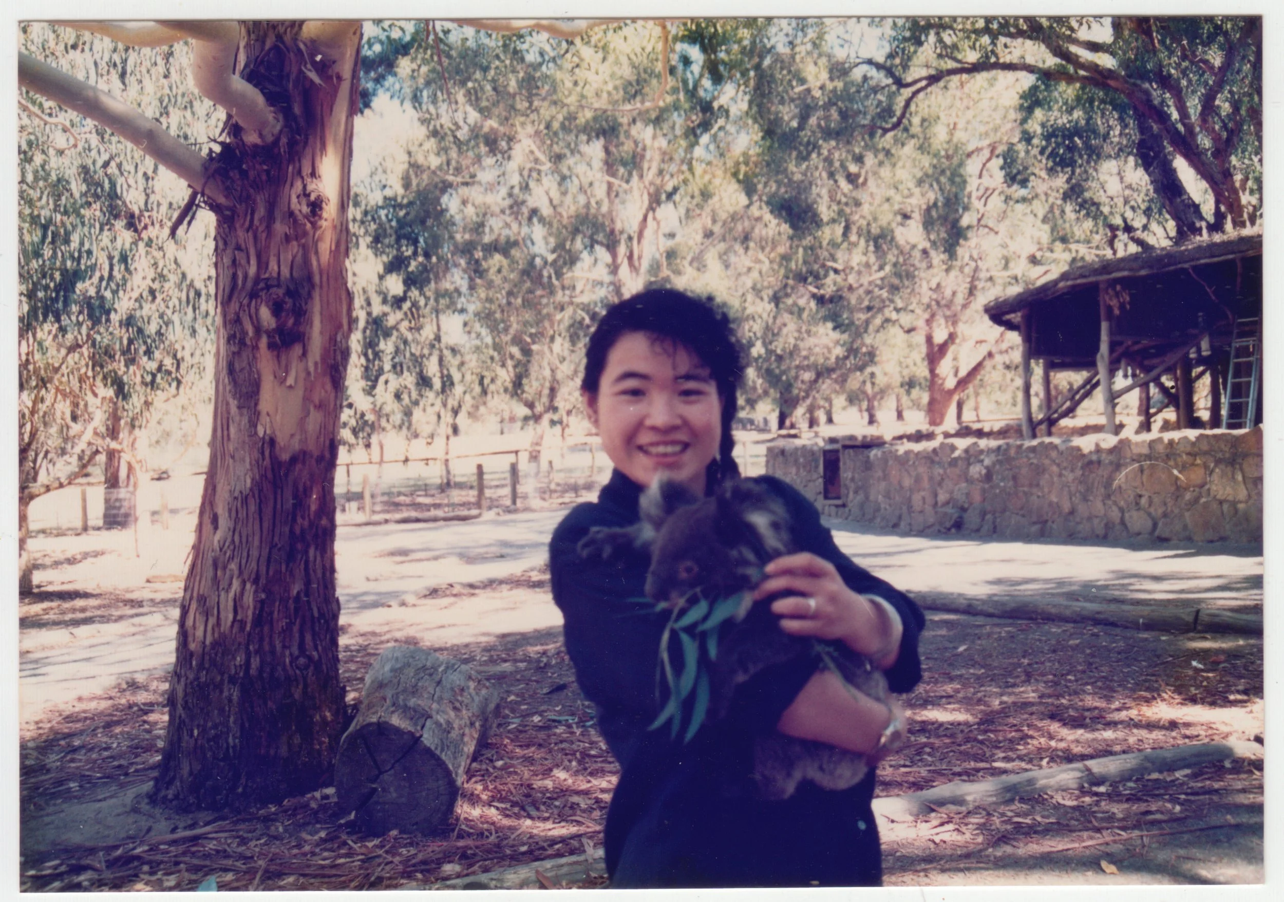 Mum holding a Koala in Australia, c. March 1990