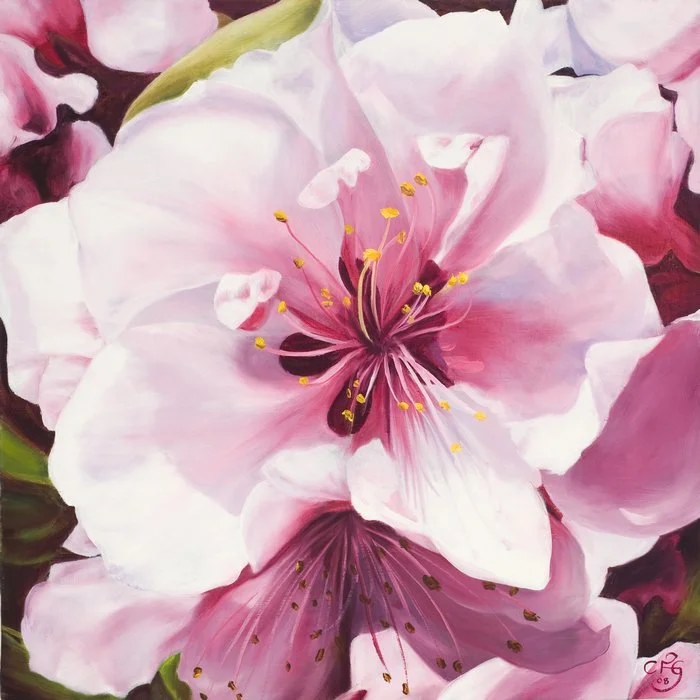 Dwarf nectarine :: Oil on linen, 60 x 60cm