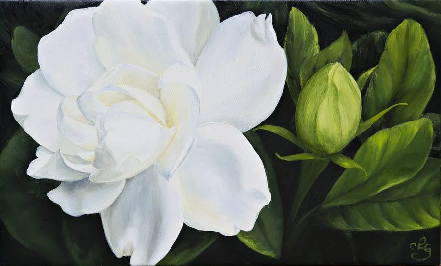 Care :: Oil on Belgian linen, 30 x 50cm