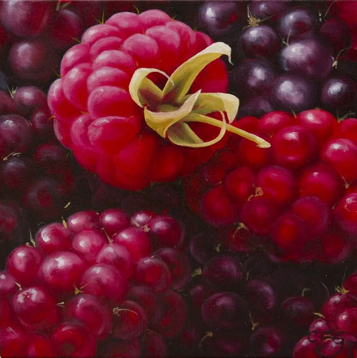 Raspberry with mulberries :: Oil on linen, 36 x 36cm