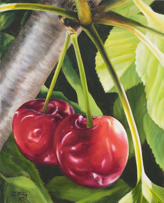 Cherry on branch :: Oil on canvas, 51 x 40cm