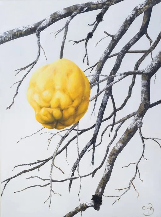 Last of the season Quince :: Oil on canvas, 100 x 75cm