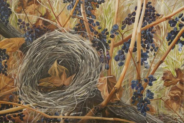 Flown :: Oil on linen, 100 x 150cm