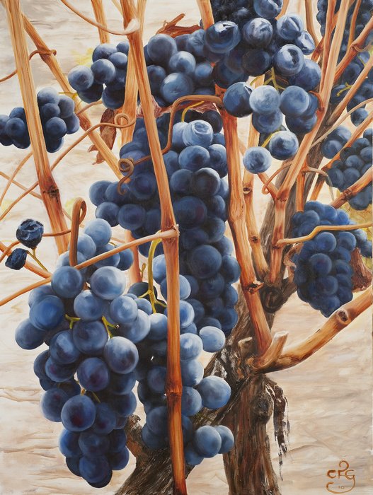 Tempranillo, Barossa Valley :: Oil on canvas, 100 x 75cm
