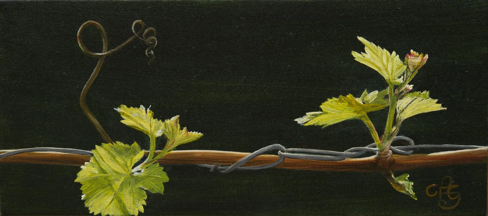 Bud Burst