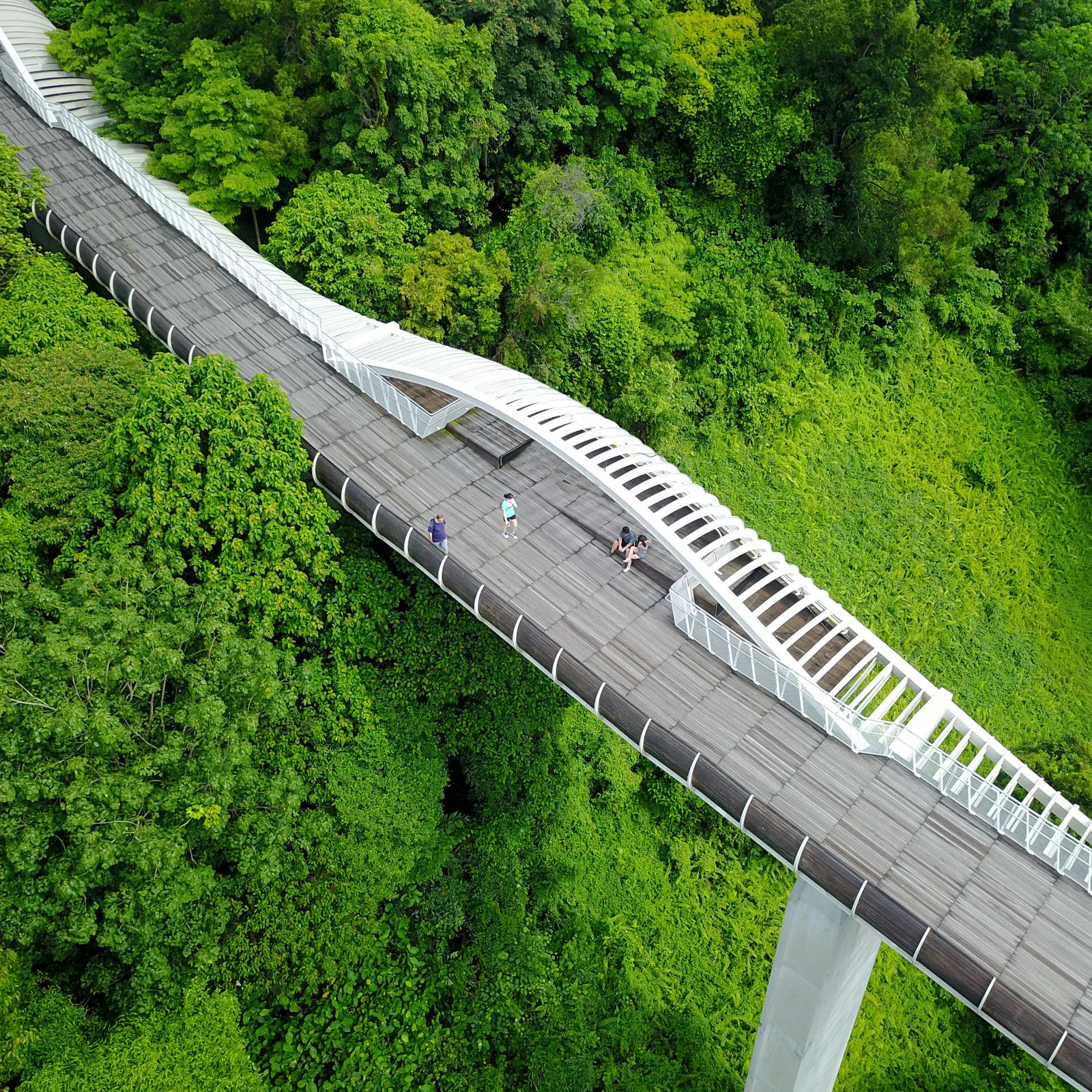  UNDULATING WAVE - HENDERSON WAVES 