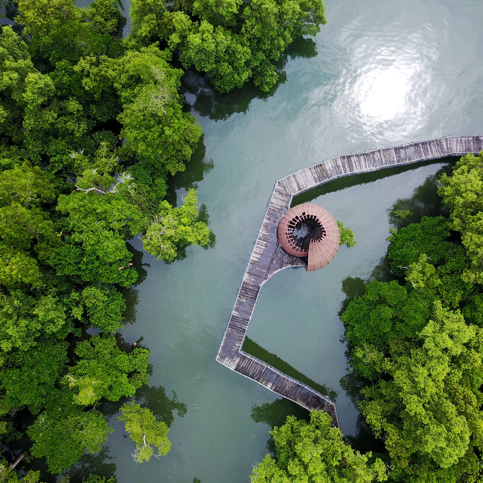  DRAGONFLY POD - SUNGEI BULOH WETLAND RESERVE 