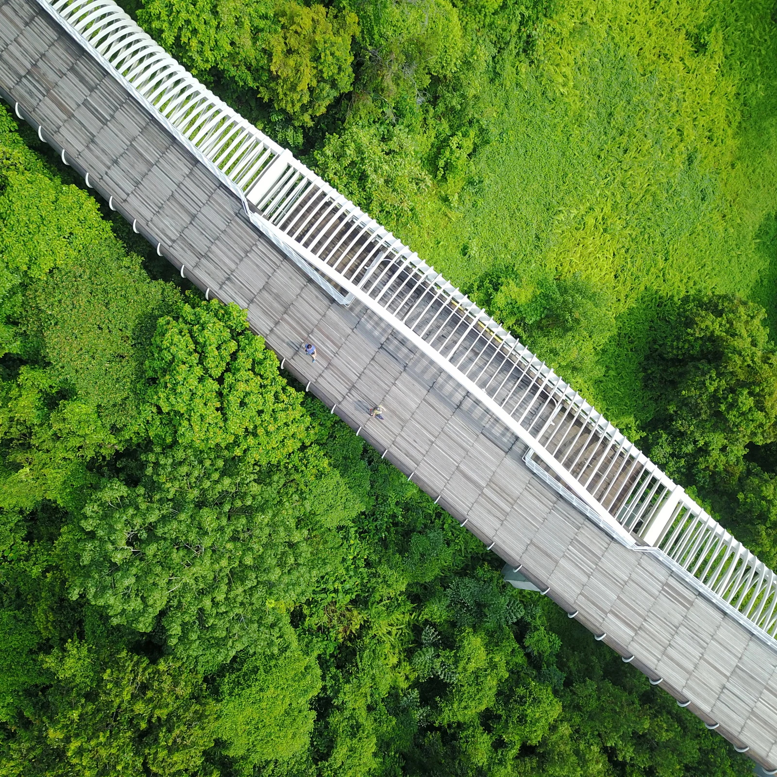  RIDE ON THE 36M HIGH WAVE - HENDERSON WAVES 