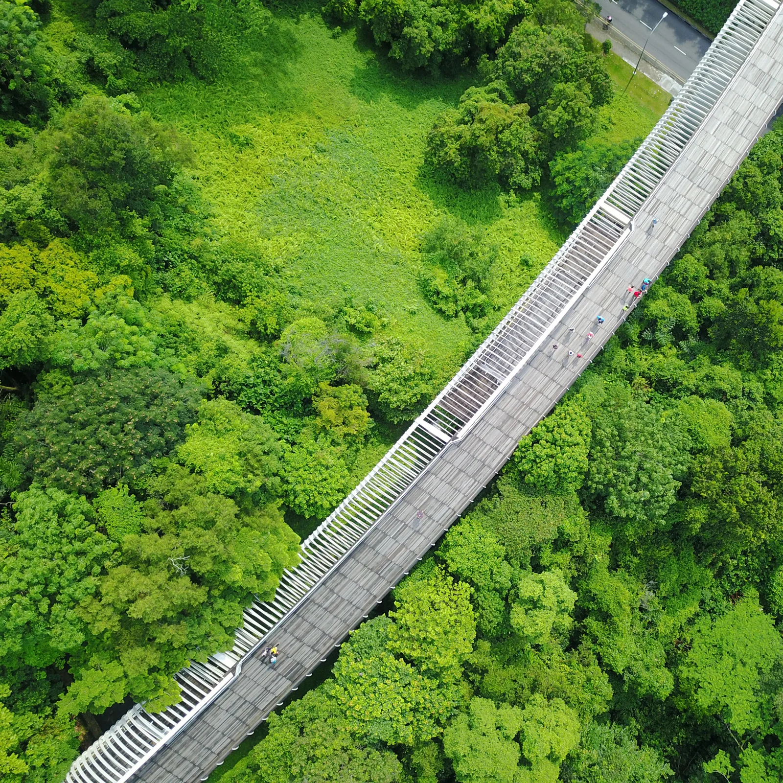  A BRIDGE RUNS THROUGH IT - HENDERSON WAVES 