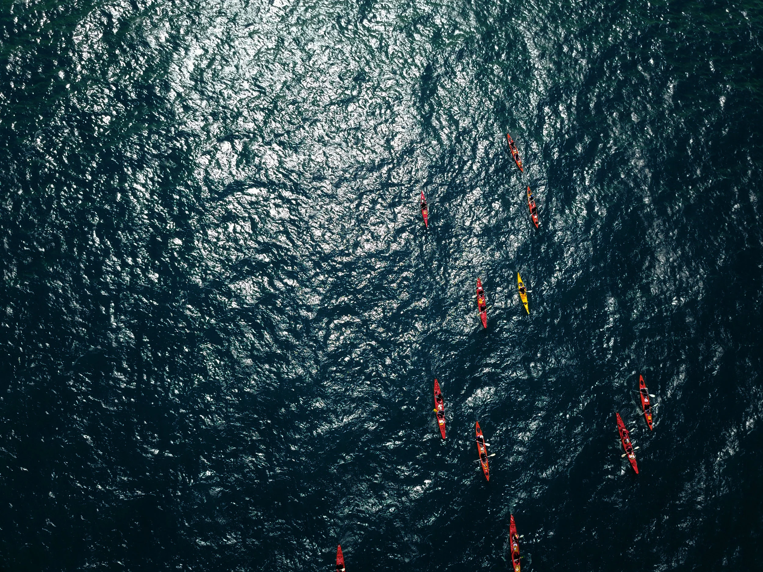  RED ANTS ON WATER - KALLANG RIVER 