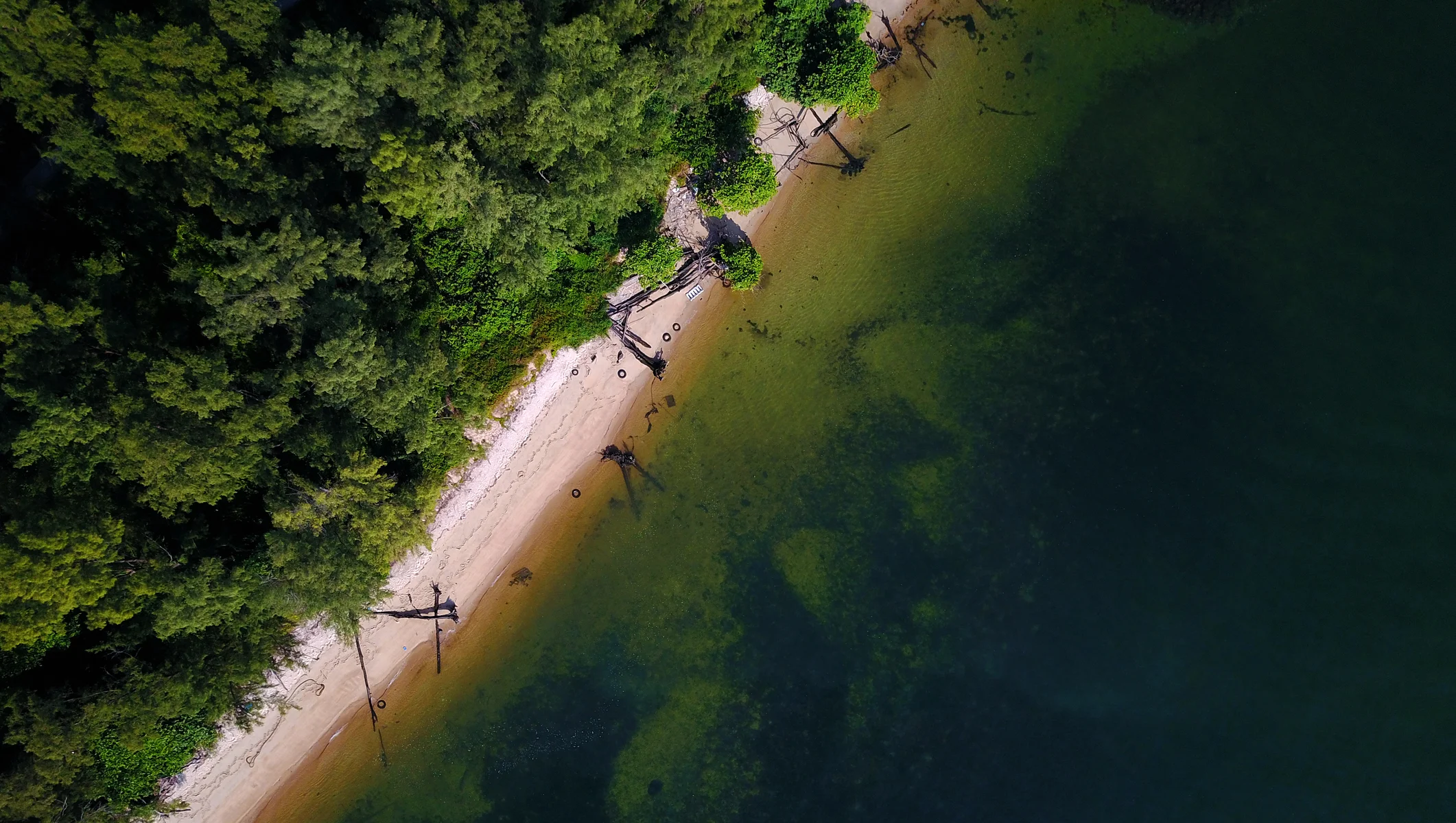  SINGAPORE - CONEY ISALND 