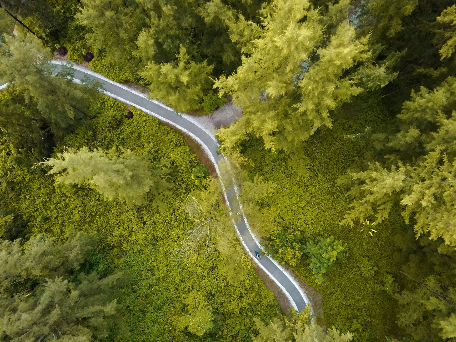  THE ROAD LESS TRAVELLED - CONEY ISLAND 