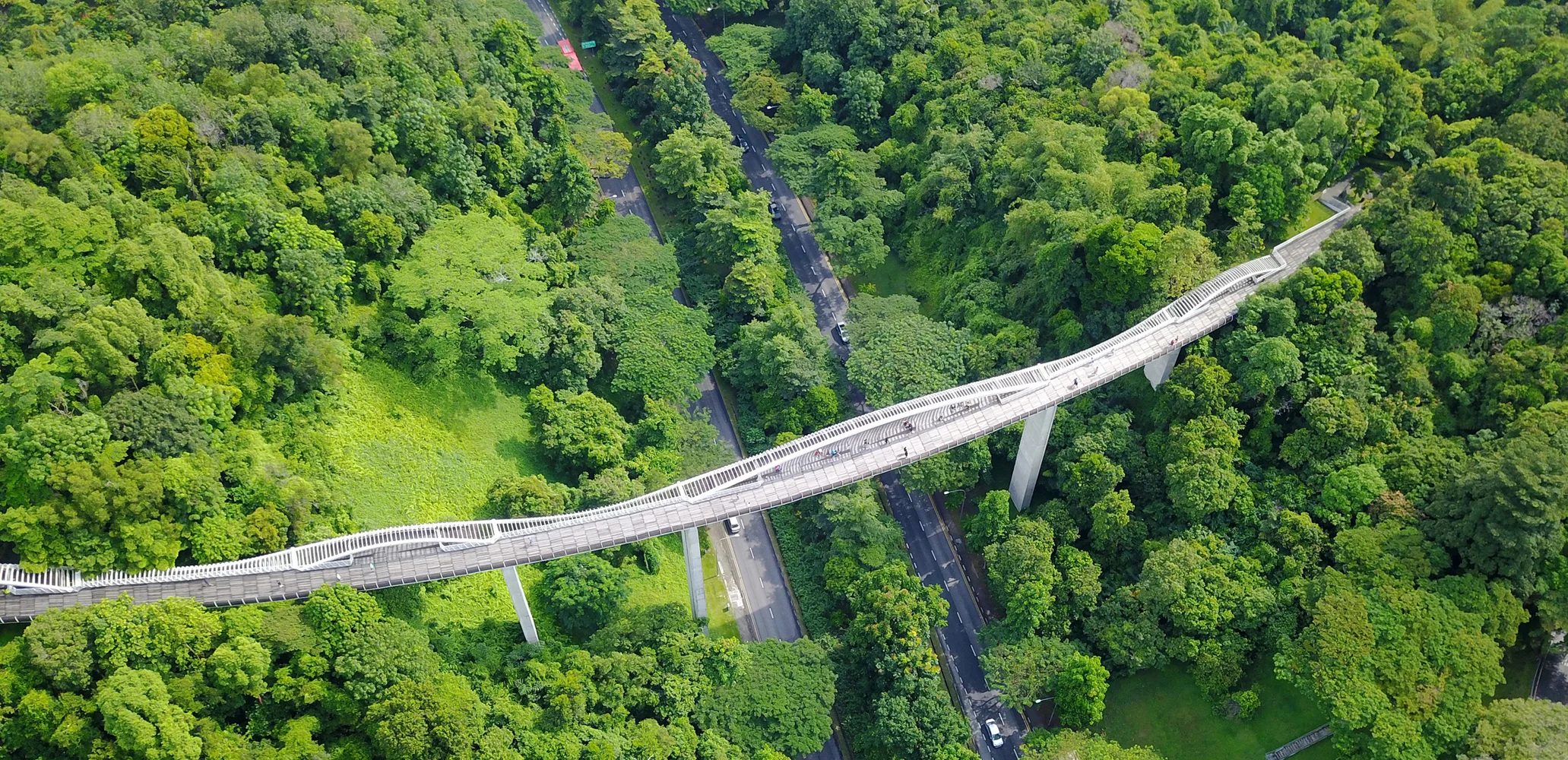  THE WORLD LONGEST CROC - HENDERSON WAVES 