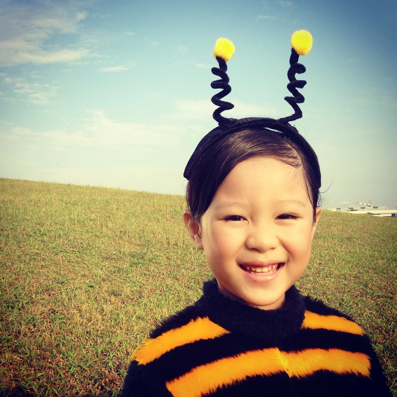  ‘SAVE MY WORLD’ SAID THE BEE 