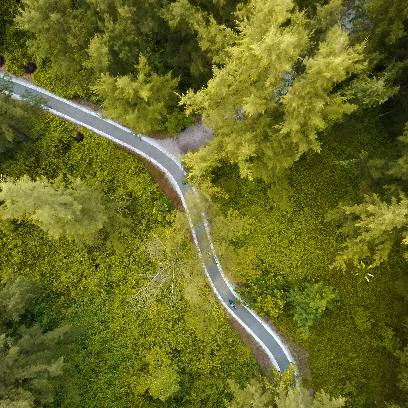  CONEY ISLAND CROSSING 