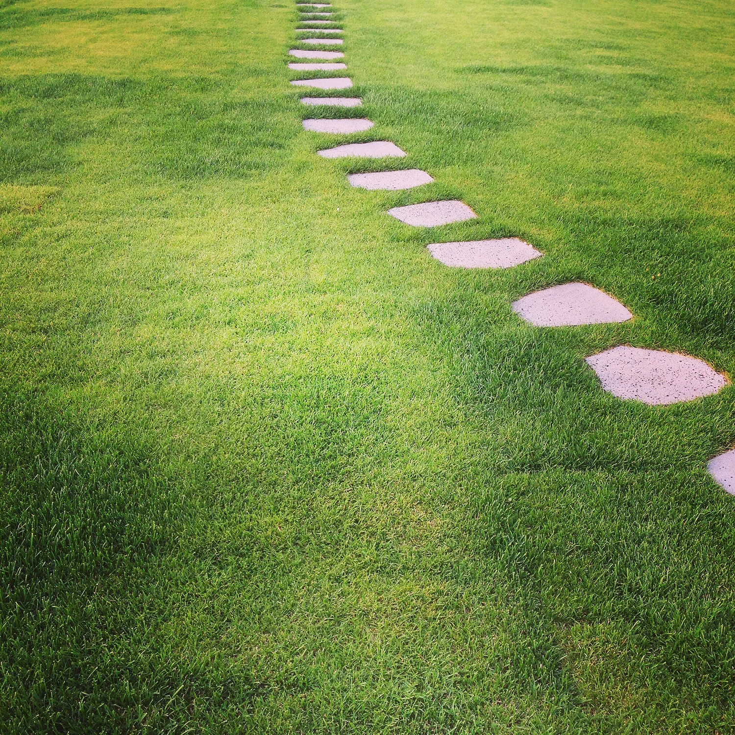 Path-WEB.jpg