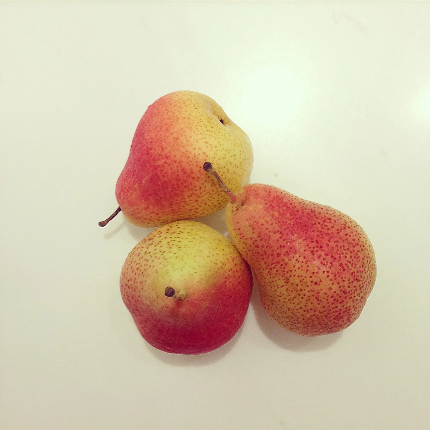 Pears-WEB.jpg