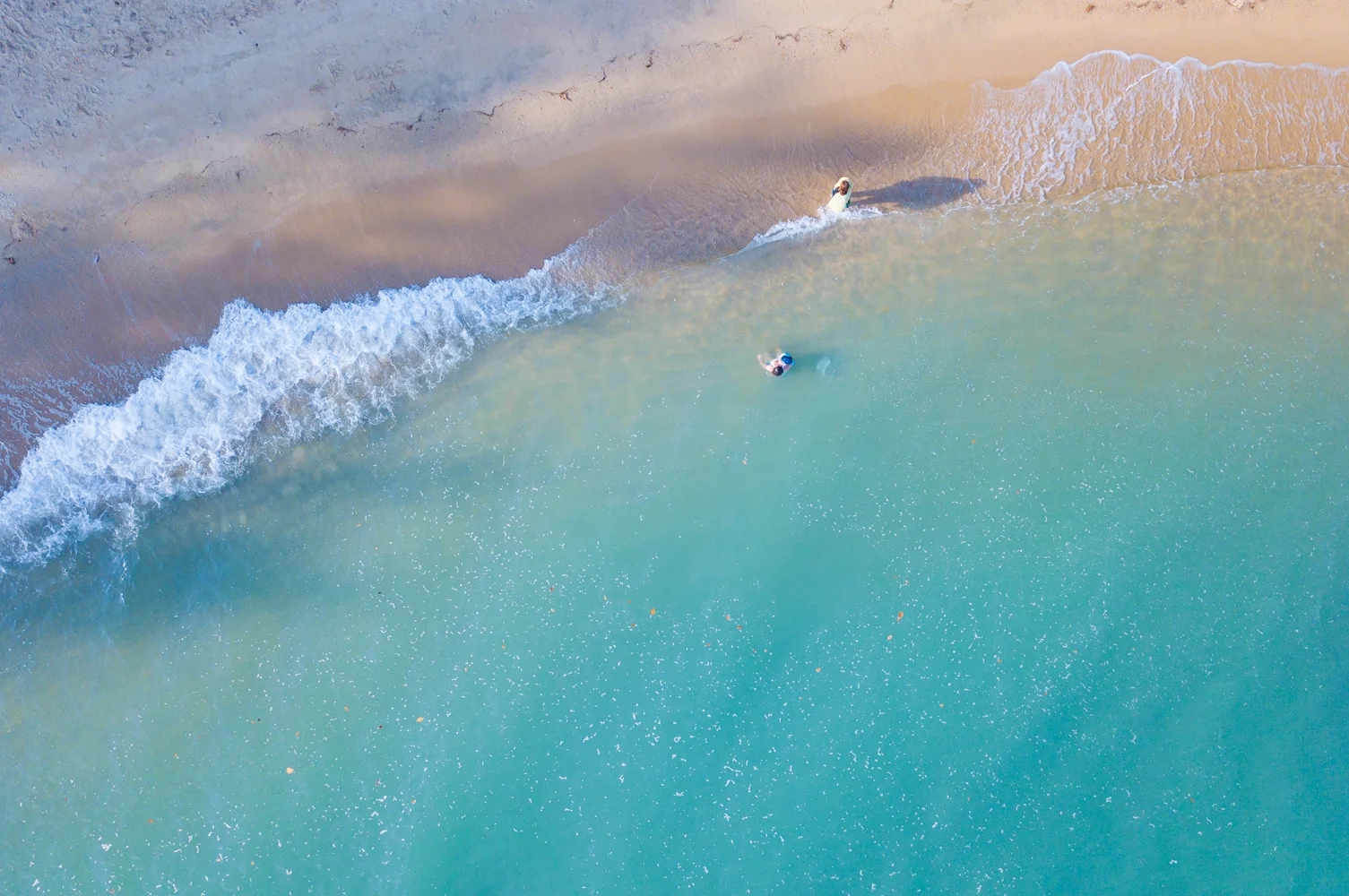  WE DREAM IN COLOURS BORROWED FROM THE SEA 