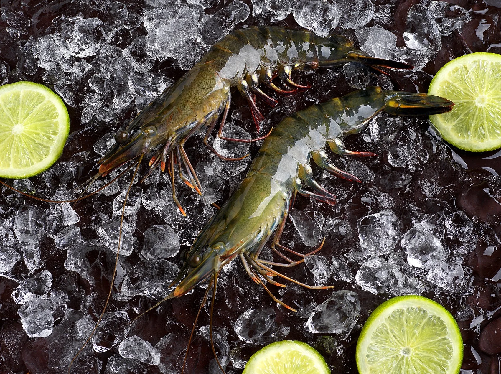  TIGER PRAWNS - JCS SHRIMP 