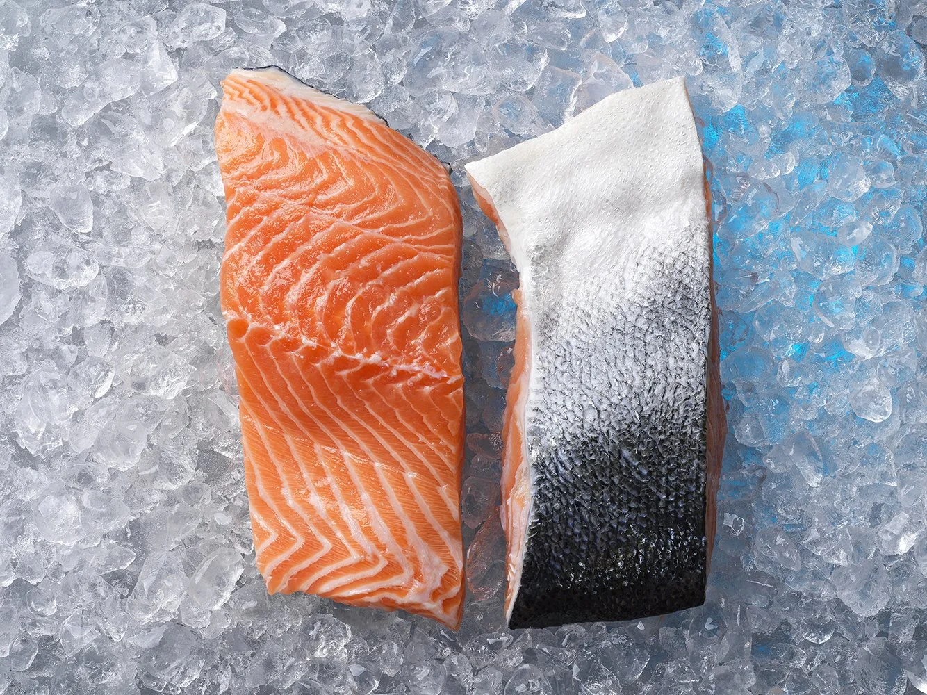  SALMON - JCS SHRIMPS 