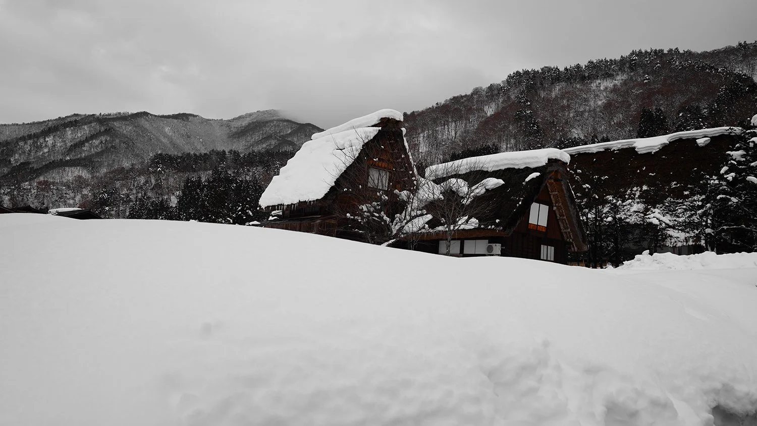  KANAZAWA - SHIRAKAWAGO VILLAGE - UNESCO HERITAGE SITE    