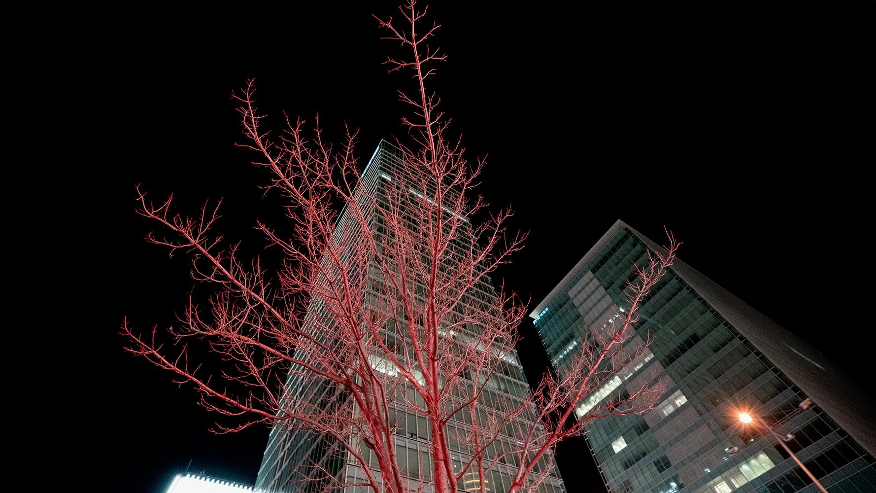  TOKYO JAPAN - FLAME OF THE CONCRETE FOREST 