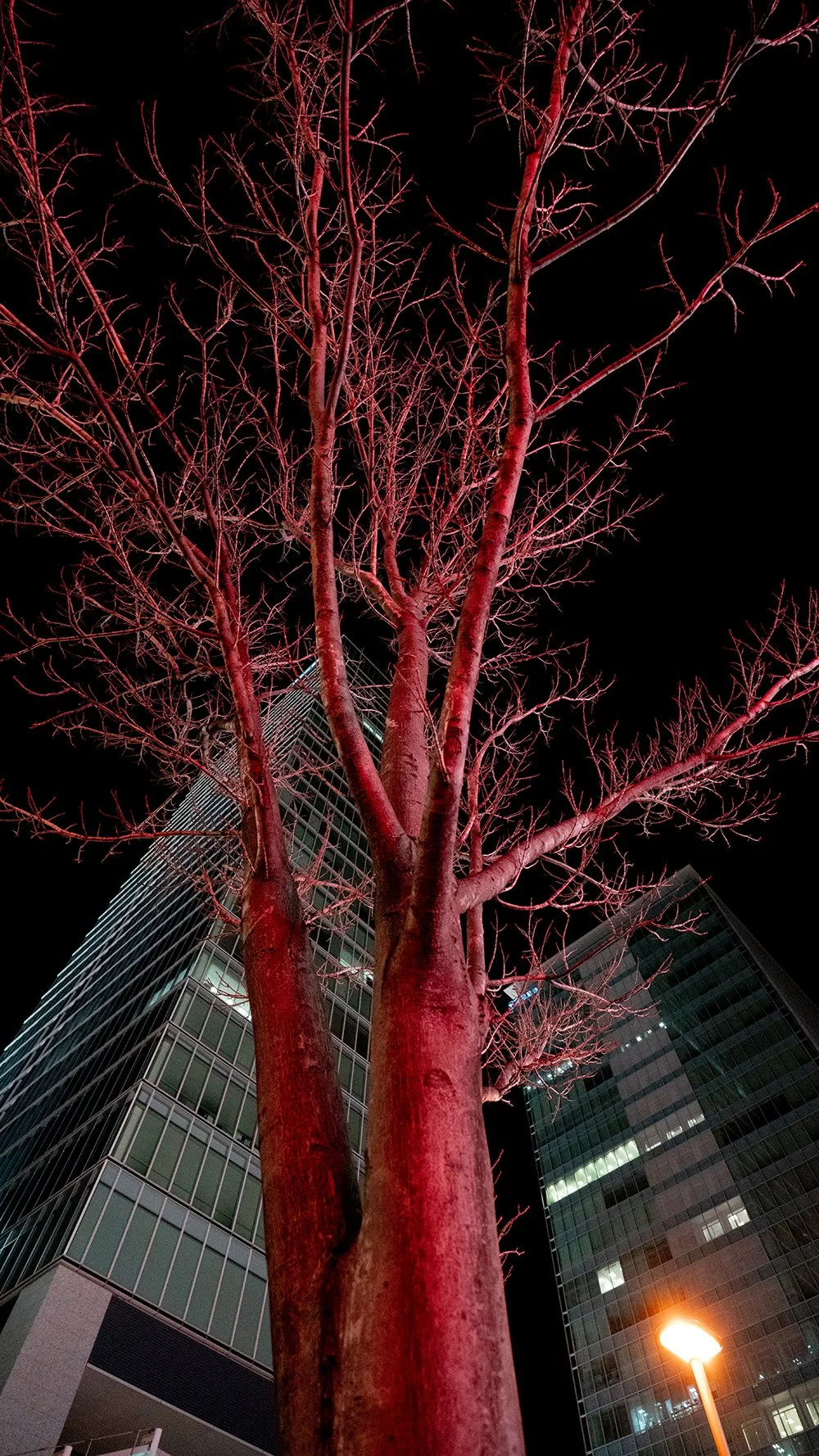  TOKYO JAPAN - THE RISE OF THE PHOENIX 