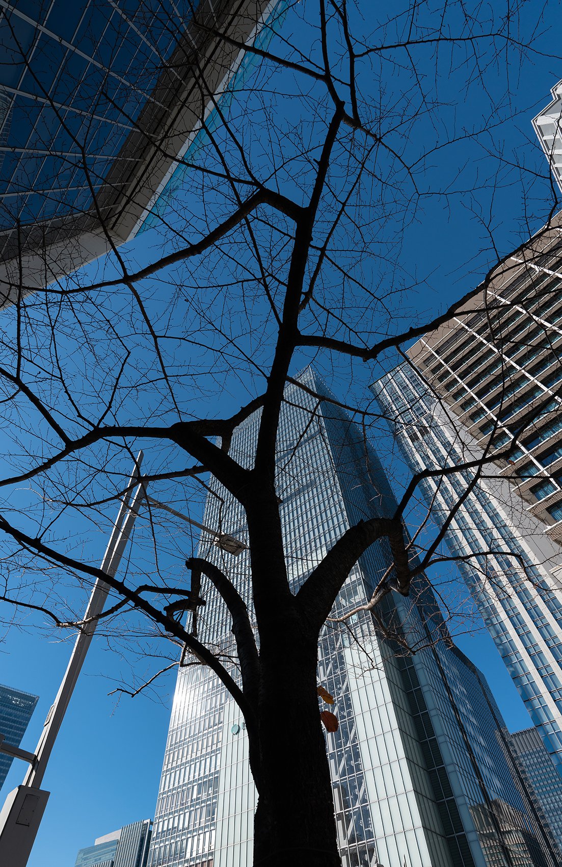  TOKYO JAPAN - JUXTAPOSITION 